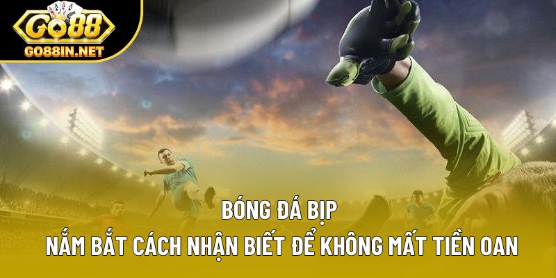 Bóng Đá Bịp | Nắm Bắt Cách Nhận Biết Để Không Mất Tiền Oan