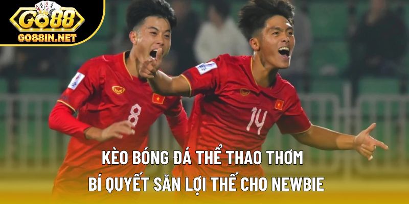 Kèo Bóng Đá Thể Thao Thơm – Bí Quyết Săn Lợi Thế Cho Newbie