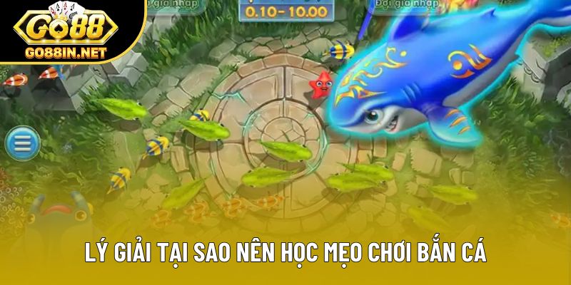 Lý giải tại sao nên học mẹo chơi bắn cá